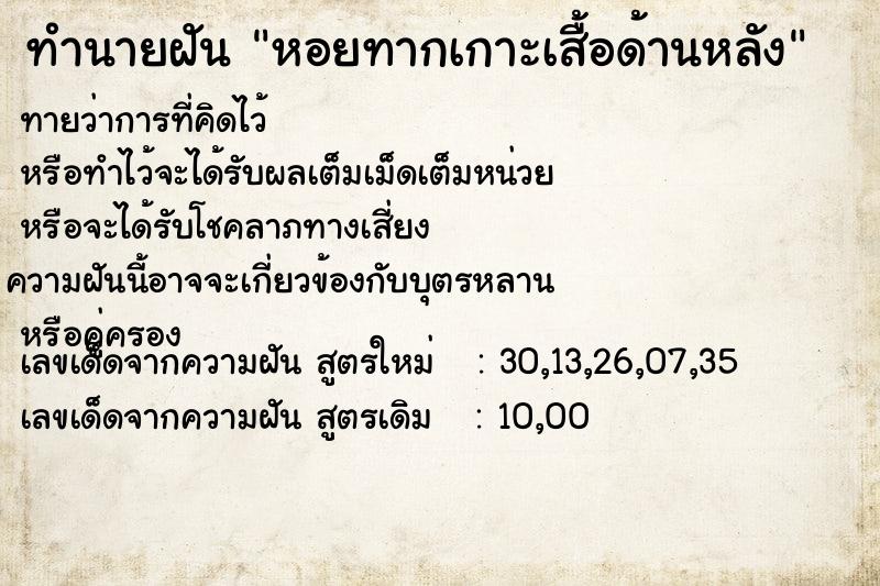 ทำนายฝันหอยทากเกาะเสื้อด้านหลัง ทำนายฝันทำนายฝันหอยทากเกาะเสื้อด้านหลัง