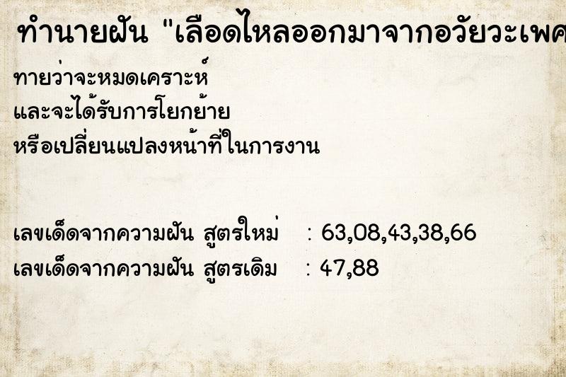 ทำนายฝันเลือดไหลออกมาจากอวัยวะเพศของเรา ทำนายฝันทำนายฝันเลือดไหลออกมาจากอวัยวะเพศของเรา