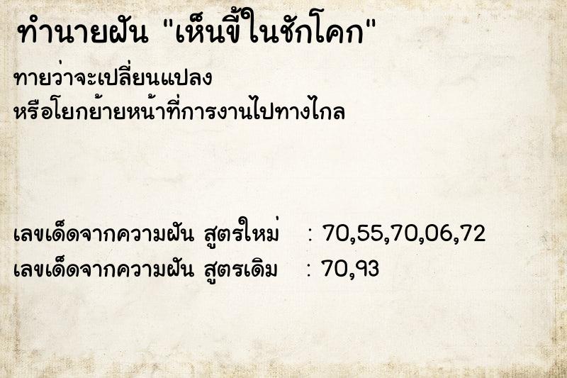 ทำนายฝันเห็นขี้ในชักโคก ทำนายฝันทำนายฝันเห็นขี้ในชักโคก