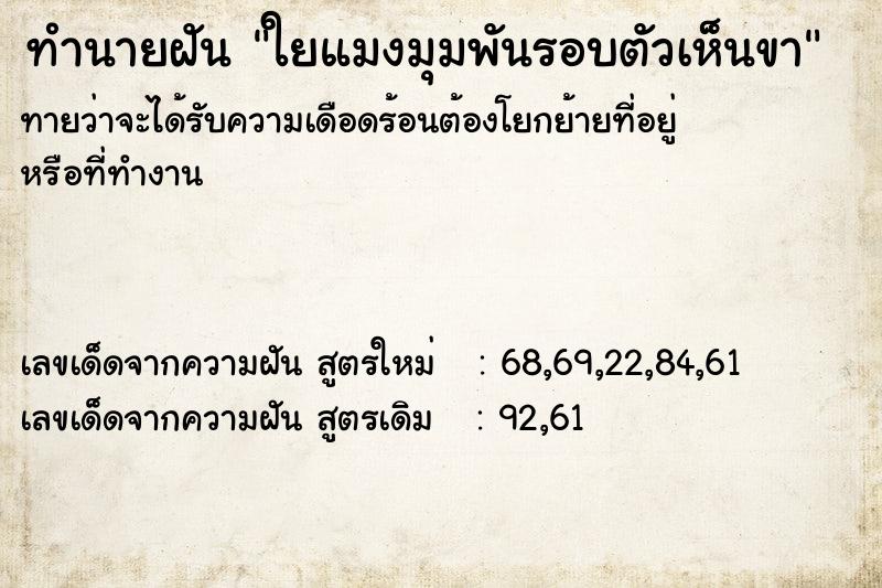 ทำนายฝันทำนายฝันใยแมงมุมพันรอบตัวเห็นขา