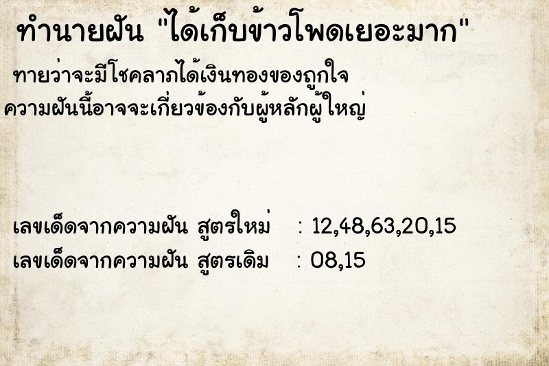 ทำนายฝัน ได้เก็บข้าวโพดเยอะมาก ทำนายฝัน ได้เก็บข้าวโพดเยอะมาก