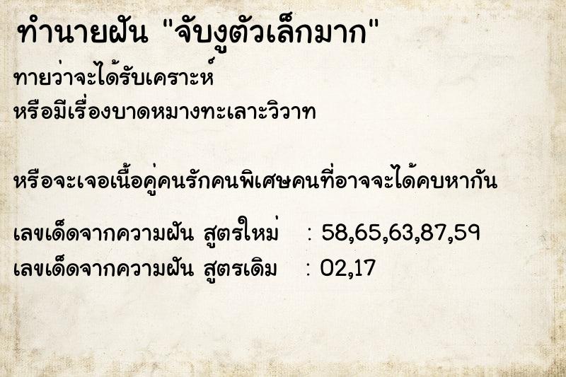 ทำนายฝันทำนายฝันจับงูตัวเล็กมาก