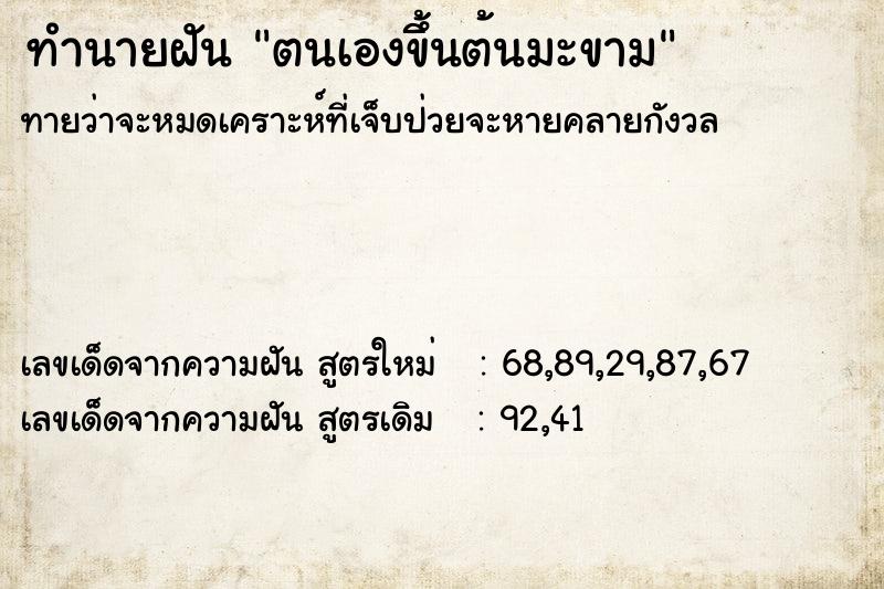 ทำนายฝันตนเองขึ้นต้นมะขาม ทำนายฝันทำนายฝันตนเองขึ้นต้นมะขาม