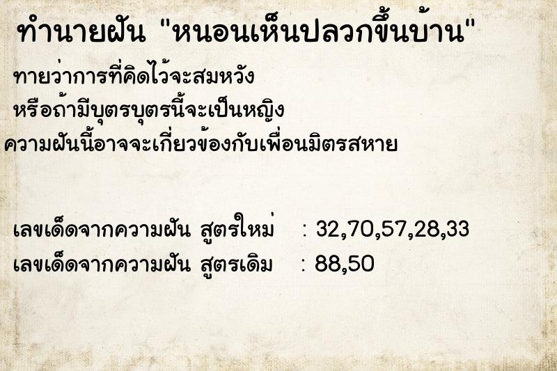 ทำนายฝันหนอนเห็นปลวกขึ้นบ้าน ทำนายฝันทำนายฝันหนอนเห็นปลวกขึ้นบ้าน