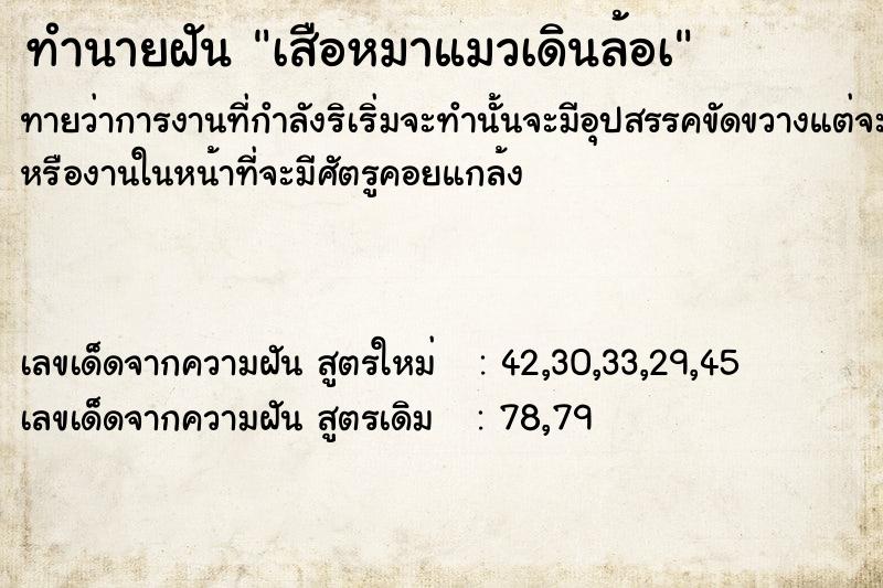 ทำนายฝันทำนายฝันเสือหมาแมวเดินล้อà