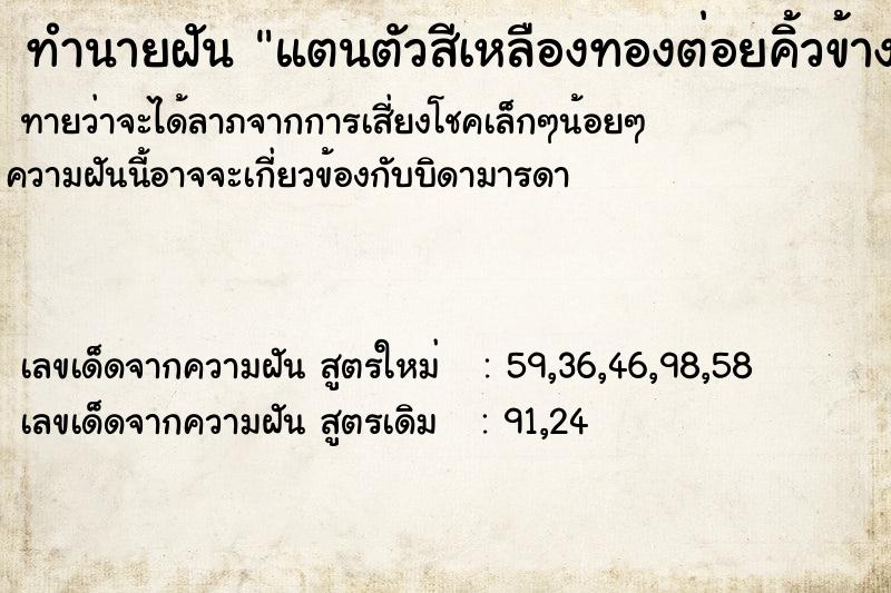 ทำนายฝันแตนตัวสีเหลืองทองต่อยคิ้วข้างซ้าง ทำนายฝันทำนายฝันแตนตัวสีเหลืองทองต่อยคิ้วข้างซ้าง