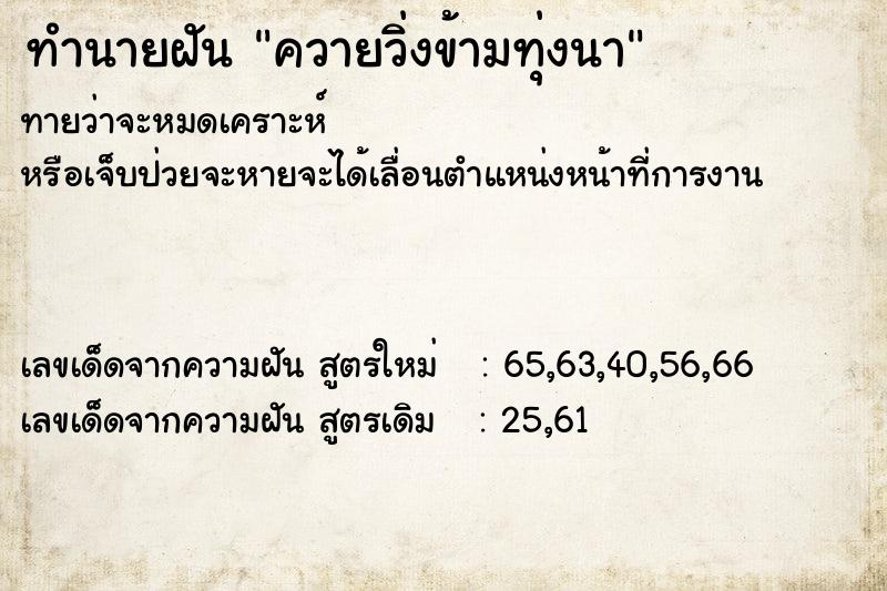 ทำนายฝัน ควายวิ่งข้ามทุ่งนา ทำนายฝัน ควายวิ่งข้ามทุ่งนา