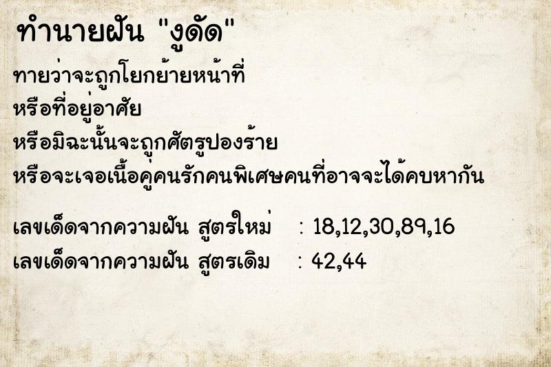 ทำนายฝันงูดัด ทำนายฝันทำนายฝันงูดัด