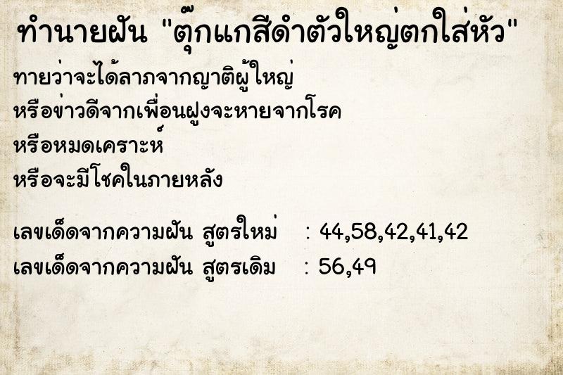 ทำนายฝันตุ๊กแกสีดำตัวใหญ่ตกใส่หัว ทำนายฝันทำนายฝันตุ๊กแกสีดำตัวใหญ่ตกใส่หัว