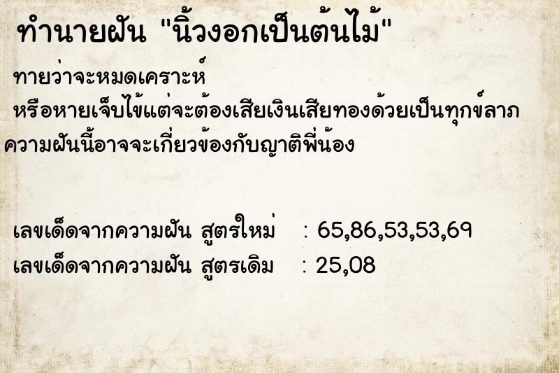 ทำนายฝันนิ้วงอกเป็นต้นไม้ ทำนายฝันทำนายฝันนิ้วงอกเป็นต้นไม้