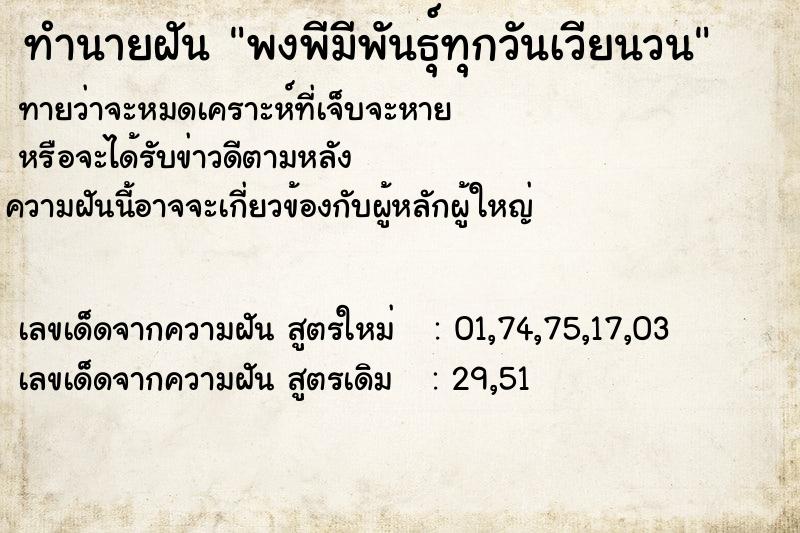 ทำนายฝันพงพีมีพันธุ์ทุกวันเวียนวน ทำนายฝันทำนายฝันพงพีมีพันธุ์ทุกวันเวียนวน