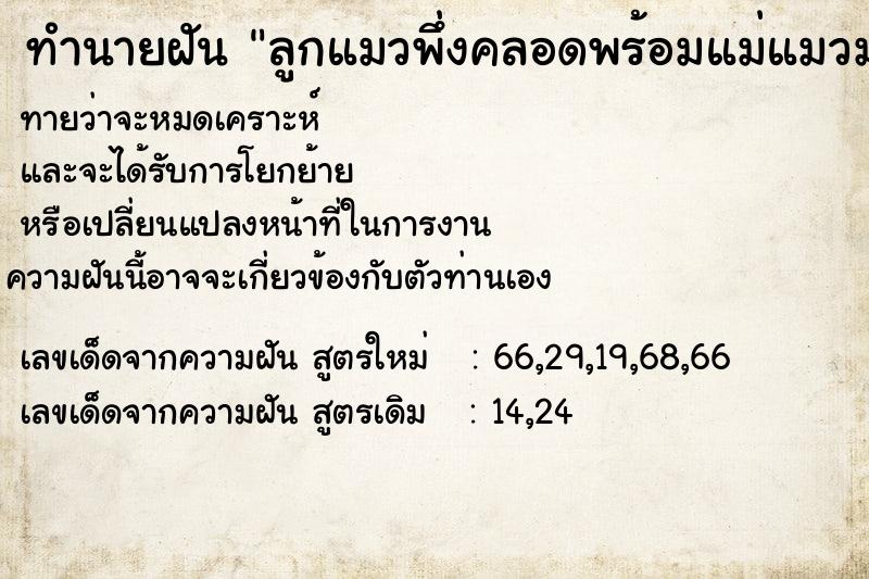 ทำนายฝันทำนายฝันลูกแมวพึ่งคลอดพร้อมแม่แมวมาขออยู่ด้วย