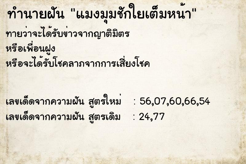 ทำนายฝันทำนายฝันแมงมุมชักใยเต็มหน้า