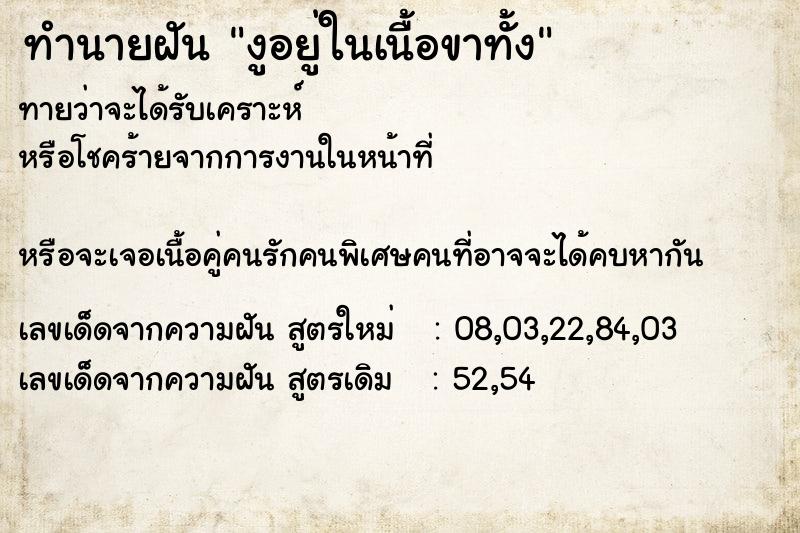 ทำนายฝันงูอยู่ในเนื้อขาทั้ง ทำนายฝันทำนายฝันงูอยู่ในเนื้อขาทั้ง