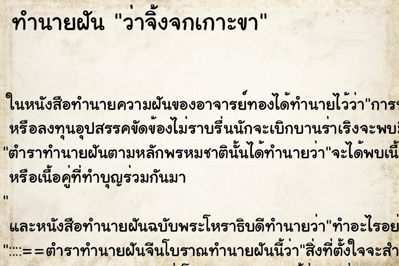 ทำนายฝัน ว่าจิ้งจกเกาะขา