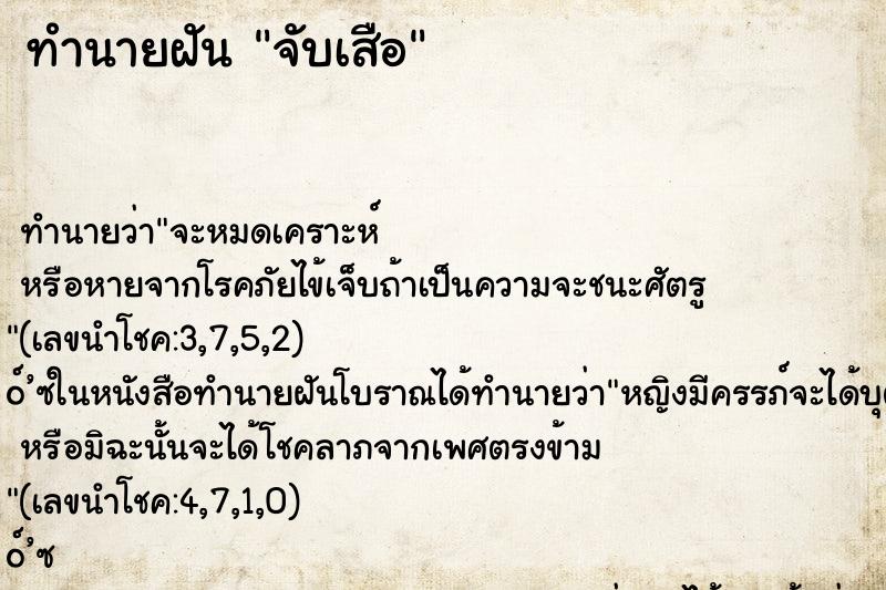 ทำนายฝันจับเสือ ทำนายฝันทำนายฝันจับเสือ