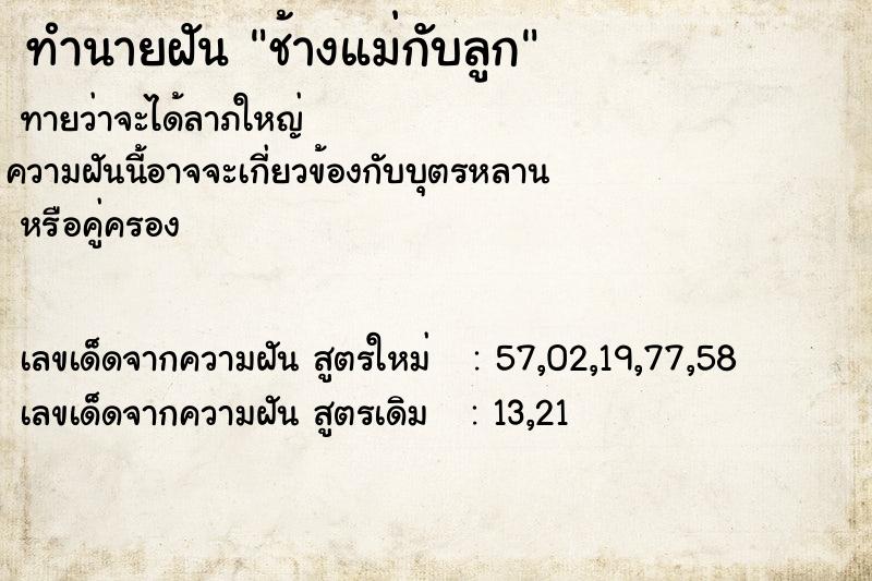 ทำนายฝันช้างแม่กับลูก ทำนายฝันทำนายฝันช้างแม่กับลูก