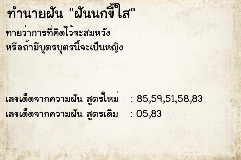 ทำนายฝันฝันนกขี้ใส ทำนายฝันทำนายฝันฝันนกขี้ใส