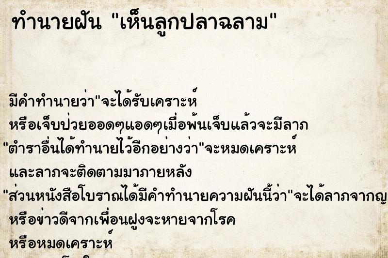 ทำนายฝัน เห็นลูกปลาฉลาม ทำนายฝัน เห็นลูกปลาฉลาม