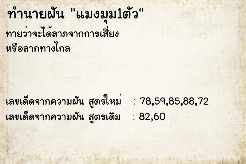 ทำนายฝันทำนายฝันแมงมุม1ตัว