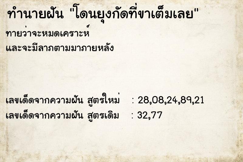 ทำนายฝันโดนยุงกัดที่ขาเต็มเลย ทำนายฝันทำนายฝันโดนยุงกัดที่ขาเต็มเลย