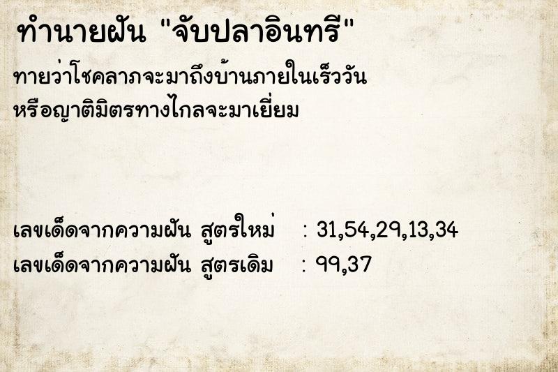 ทำนายฝันจับปลาอินทรี ทำนายฝันทำนายฝันจับปลาอินทรี