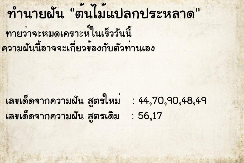 ทำนายฝันต้นไม้แปลกประหลาด ทำนายฝันทำนายฝันต้นไม้แปลกประหลาด