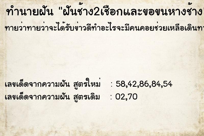 ทำนายฝันทำนายฝันฝันช้าง2เชือกและขอขนหางช้าง