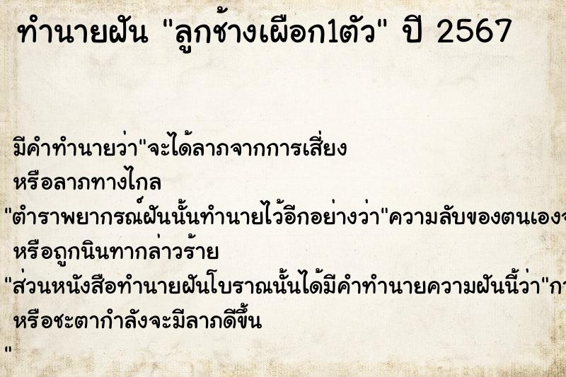 ทำนายฝันลูกช้างเผือก1ตัว ทำนายฝันทำนายฝันลูกช้างเผือก1ตัว