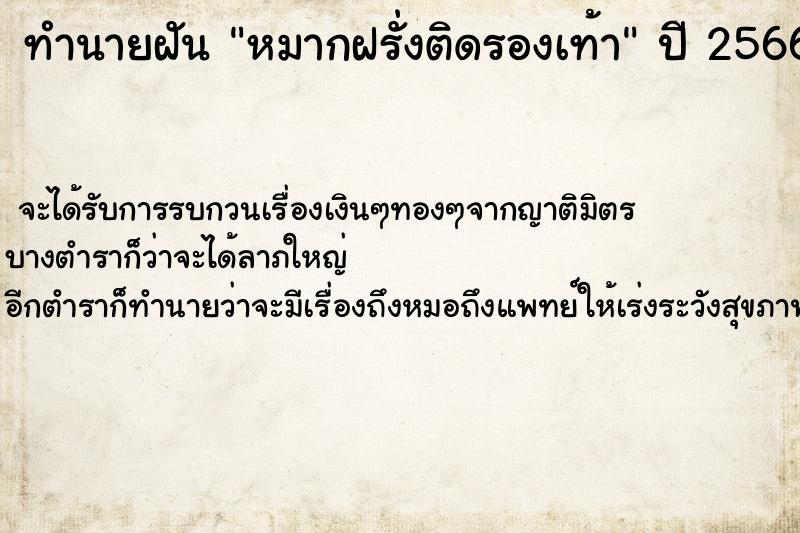 ทำนายฝันทำนายฝันหมากฝรั่งติดรองเท้า