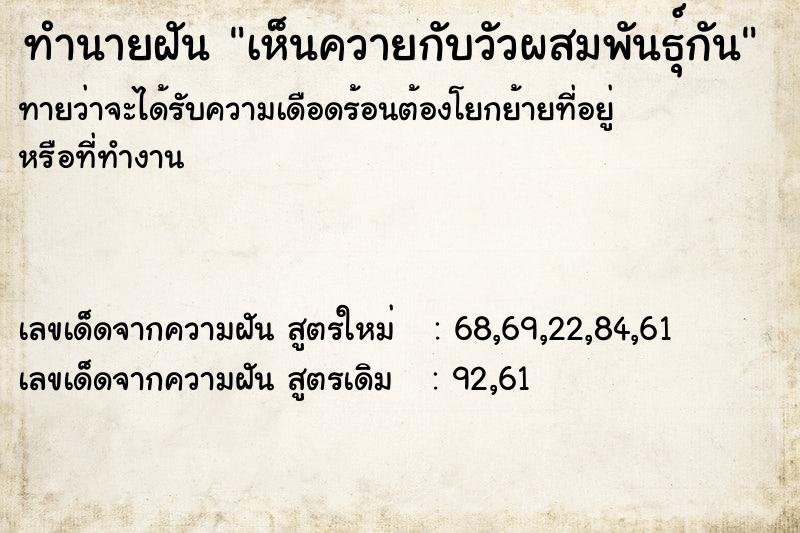 ทำนายฝันทำนายฝันเห็นควายกับวัวผสมพันธุ์กัน