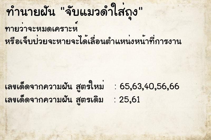 ทำนายฝันจับแมวดำใส่ถุง ทำนายฝันทำนายฝันจับแมวดำใส่ถุง