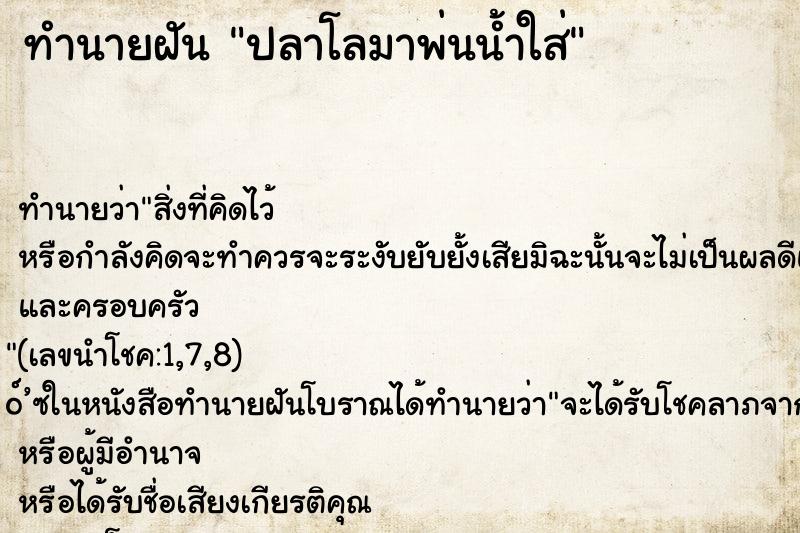 ทำนายฝัน ปลาโลมาพ่นน้ำใส่