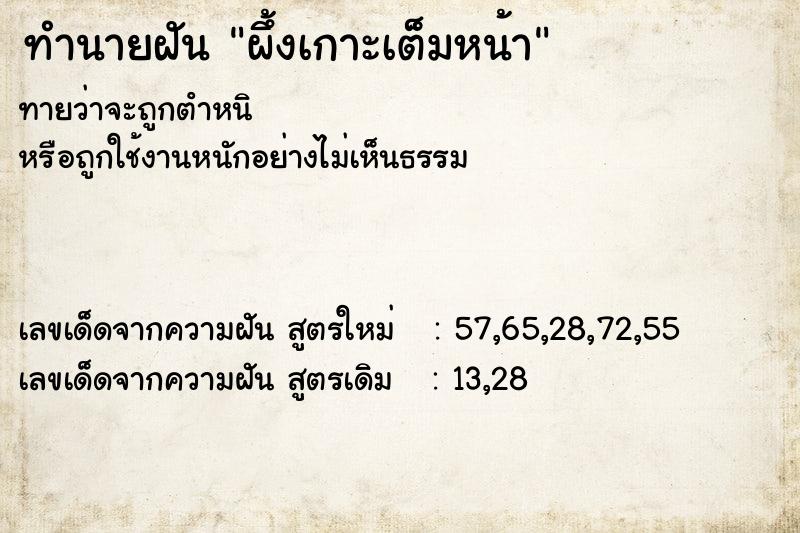 ทำนายฝันทำนายฝันผึ้งเกาะเต็มหน้า