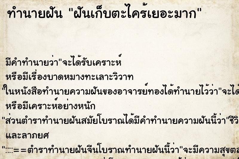ทำนายฝันทำนายฝันฝันเก็บตะไคร้เยอะมาก