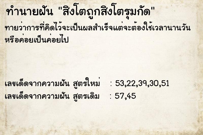 ทำนายฝันทำนายฝันสิงโตถูกสิงโตรุมกัด