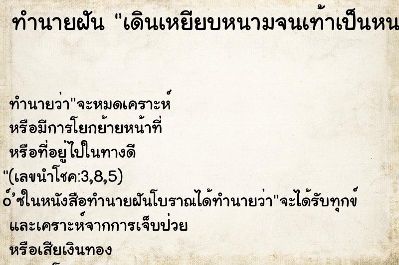 ทำนายฝันทำนายฝันเดินเหยียบหนามจนเท้าเป็นหนองเลือดออก