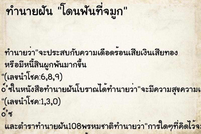ทำนายฝันทำนายฝันโดนฟันที่จมูก