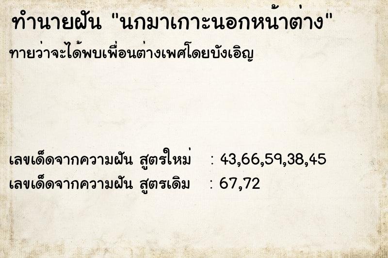 ทำนายฝันทำนายฝันนกมาเกาะนอกหน้าต่าง