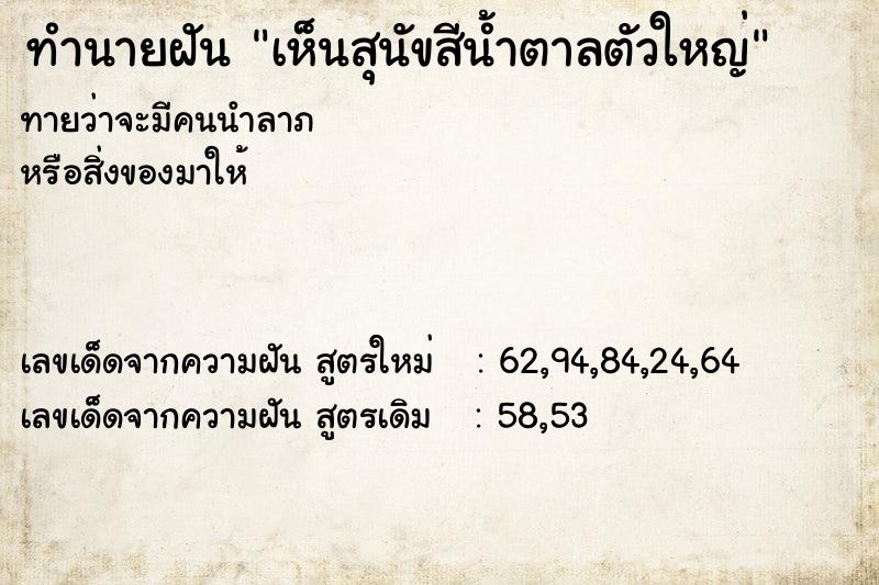 ทำนายฝันทำนายฝันเห็นสุนัขสีน้ำตาลตัวใหญ่