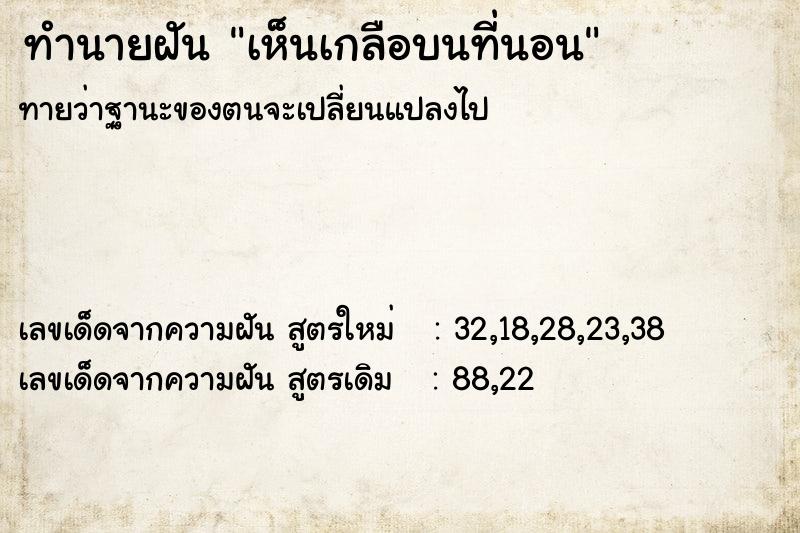 ทำนายฝันเห็นเกลือบนที่นอน ทำนายฝันทำนายฝันเห็นเกลือบนที่นอน