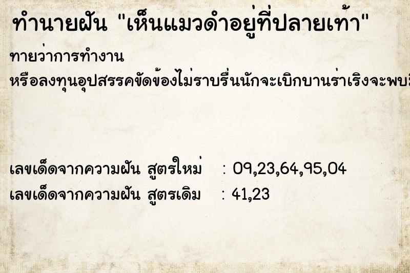 ทำนายฝันทำนายฝันเห็นแมวดำอยู่ที่ปลายเท้า
