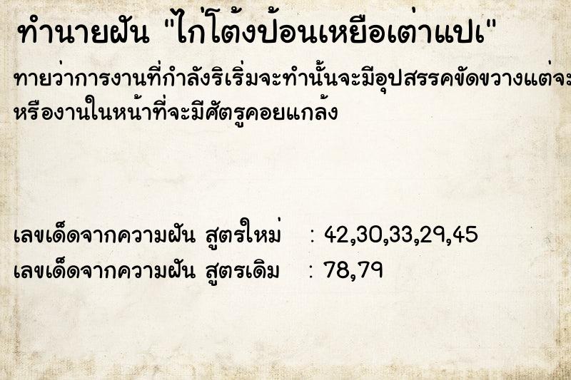 ทำนายฝันไก่โต้งป้อนเหยือเต่าแปà ทำนายฝันทำนายฝันไก่โต้งป้อนเหยือเต่าแปà