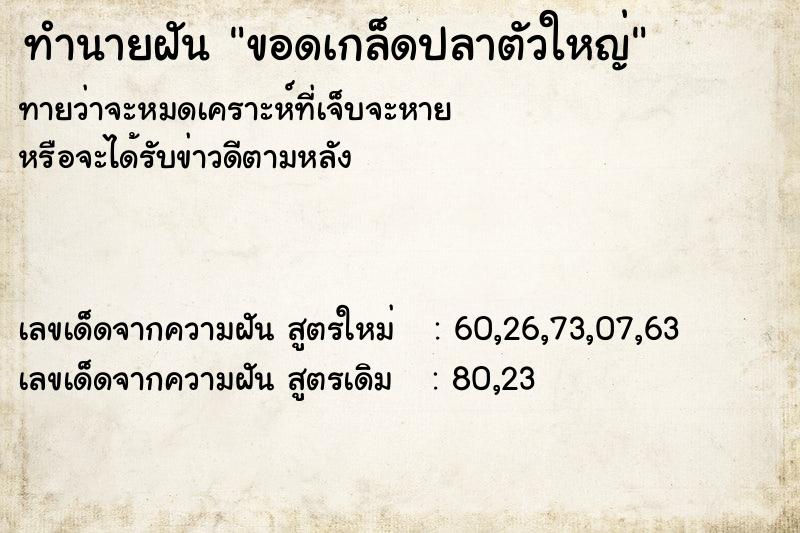 ทำนายฝัน ขอดเกล็ดปลาตัวใหญ่
