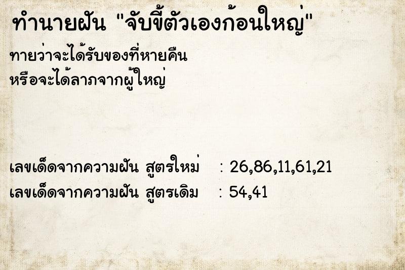 ทำนายฝันจับขี้ตัวเองก้อนใหญ่ ทำนายฝันทำนายฝันจับขี้ตัวเองก้อนใหญ่