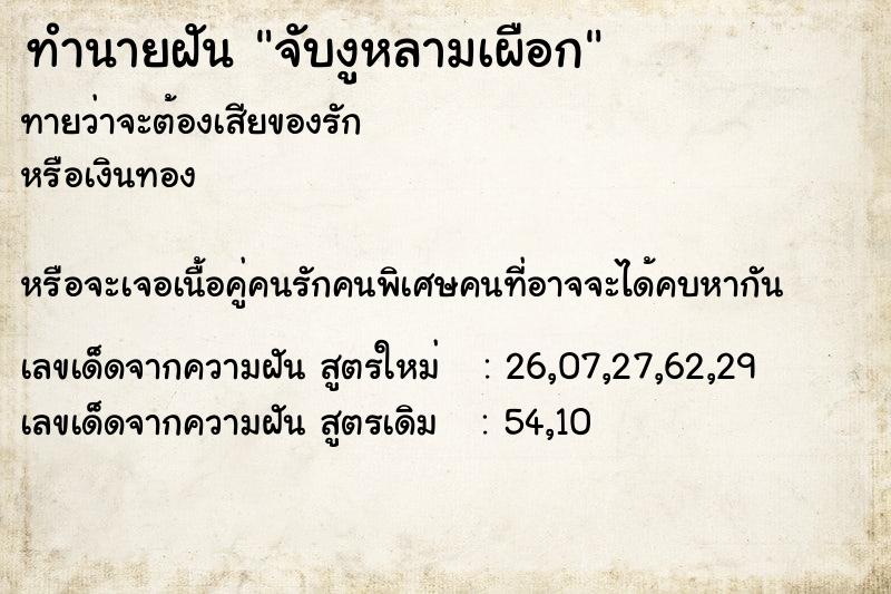 ทำนายฝันจับงูหลามเผือก ทำนายฝันทำนายฝันจับงูหลามเผือก