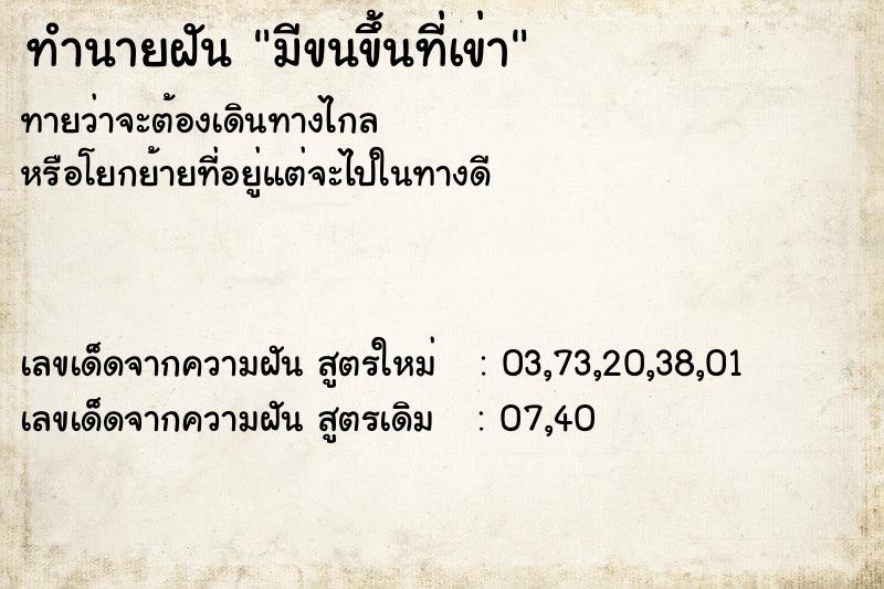 ทำนายฝันมีขนขึ้นที่เข่า ทำนายฝันทำนายฝันมีขนขึ้นที่เข่า