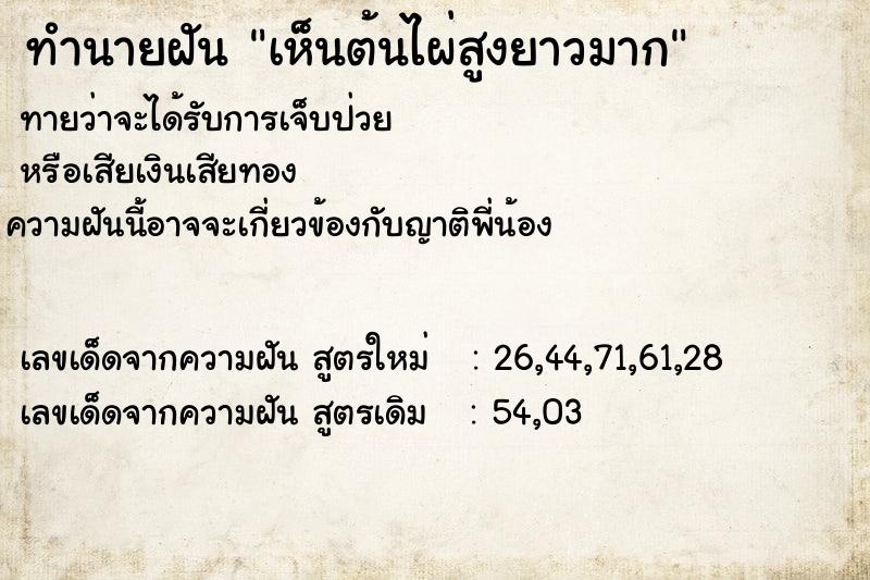 ทำนายฝันเห็นต้นไผ่สูงยาวมาก ทำนายฝันทำนายฝันเห็นต้นไผ่สูงยาวมาก