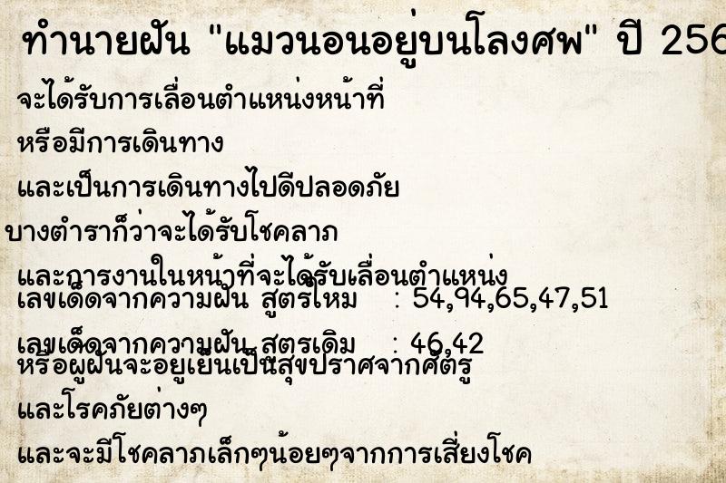 ทำนายฝัน แมวนอนอยู่บนโลงศพ ทำนายฝัน แมวนอนอยู่บนโลงศพ