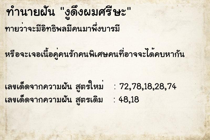 ทำนายฝันงูดึงผมศรีษะ ทำนายฝันทำนายฝันงูดึงผมศรีษะ